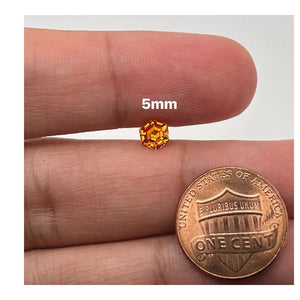 5MM