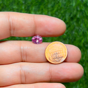 Natural Pink Sapphire – 3.06 Carat Oval Cut AAA Quality Loose Gemstone, Strong Saturation, One-of-a-Kind Fine Jewelry Stone